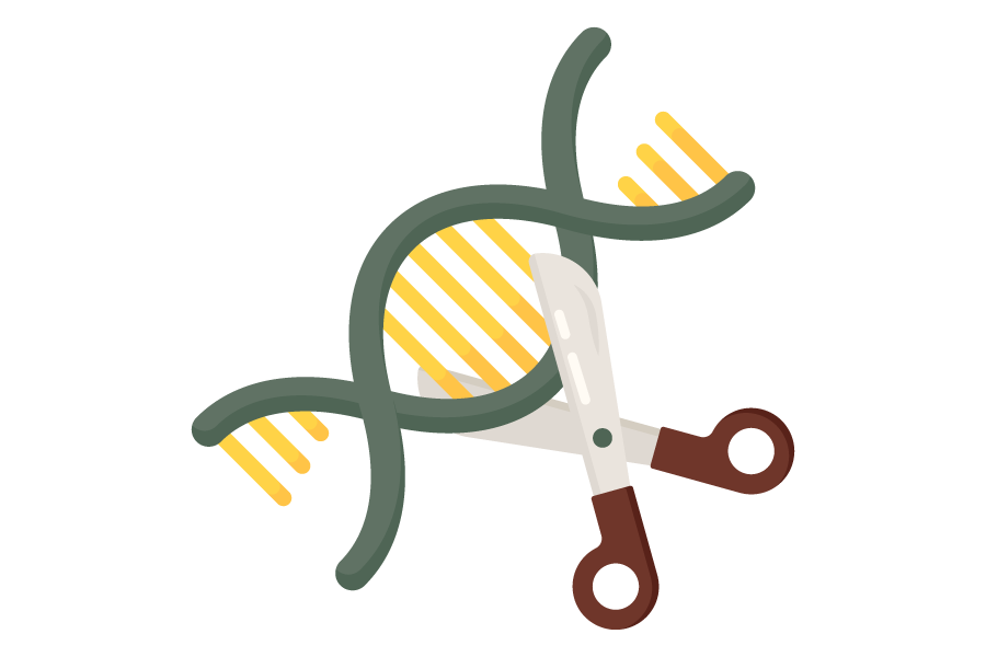 El papel de la genética en la carrera de biología