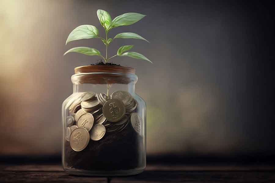 La importancia de la economía en la vida diaria