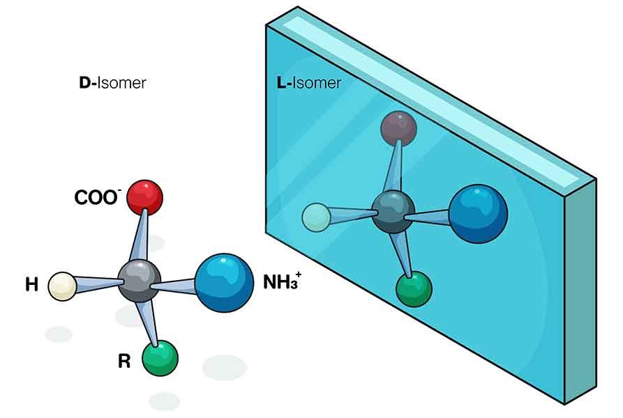 La estereoquímica orgánica